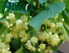 1agro.com.ua