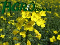 1agro.com.ua
