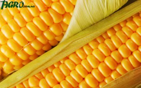 1agro.com.ua