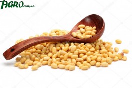 1agro.com.ua