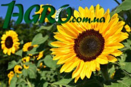 1agro.com.ua