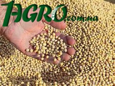 1agro.com.ua