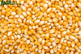 1agro.com.ua