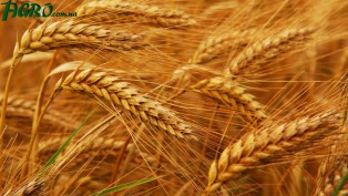 1agro.com.ua