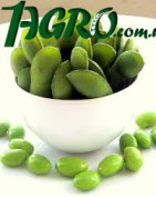 1agro.com.ua