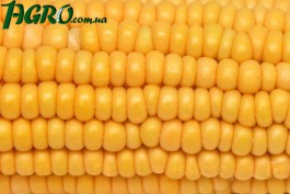 1agro.com.ua