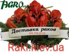 1agro.com.ua