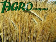 1agro.com.ua