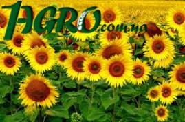 1agro.com.ua