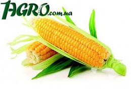 1agro.com.ua