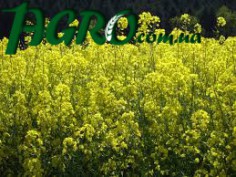 1agro.com.ua