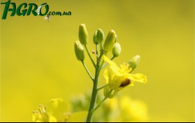 1agro.com.ua