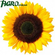 1agro.com.ua