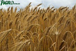 1agro.com.ua