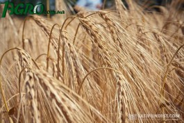 1agro.com.ua