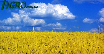 1agro.com.ua