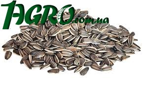 1agro.com.ua