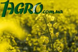 1agro.com.ua