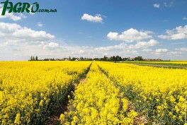 1agro.com.ua