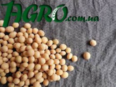 1agro.com.ua