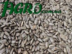 1agro.com.ua