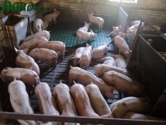 1agro.com.ua