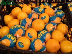 1agro.com.ua