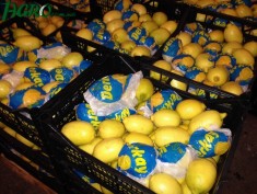 1agro.com.ua