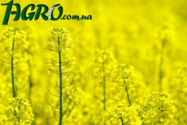 1agro.com.ua