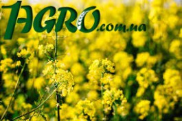 1agro.com.ua