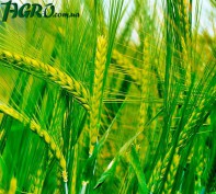 1agro.com.ua