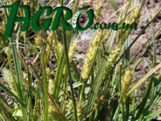 1agro.com.ua