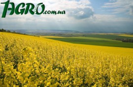 1agro.com.ua