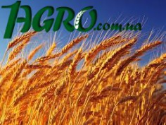 1agro.com.ua