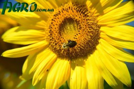 1agro.com.ua