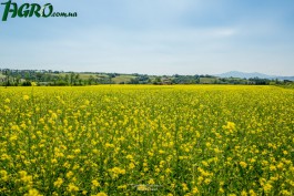 1agro.com.ua
