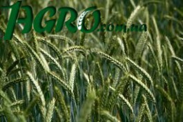1agro.com.ua