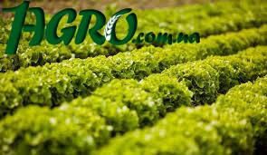 1agro.com.ua