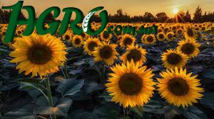1agro.com.ua