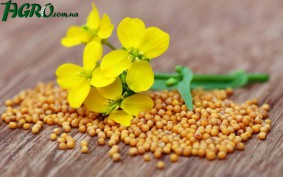 1agro.com.ua