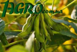 1agro.com.ua