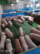 1agro.com.ua