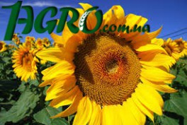 1agro.com.ua