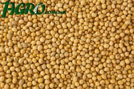 1agro.com.ua