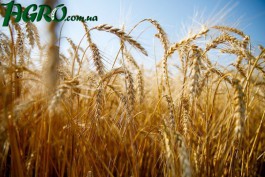 1agro.com.ua