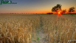 1agro.com.ua