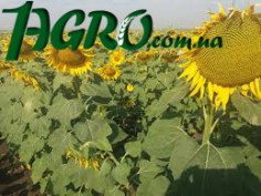 1agro.com.ua