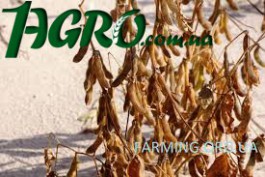 1agro.com.ua