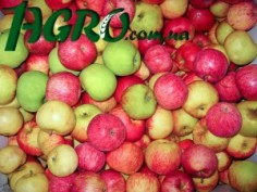 1agro.com.ua