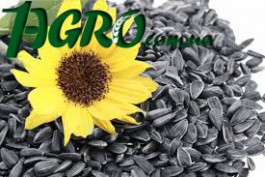 1agro.com.ua